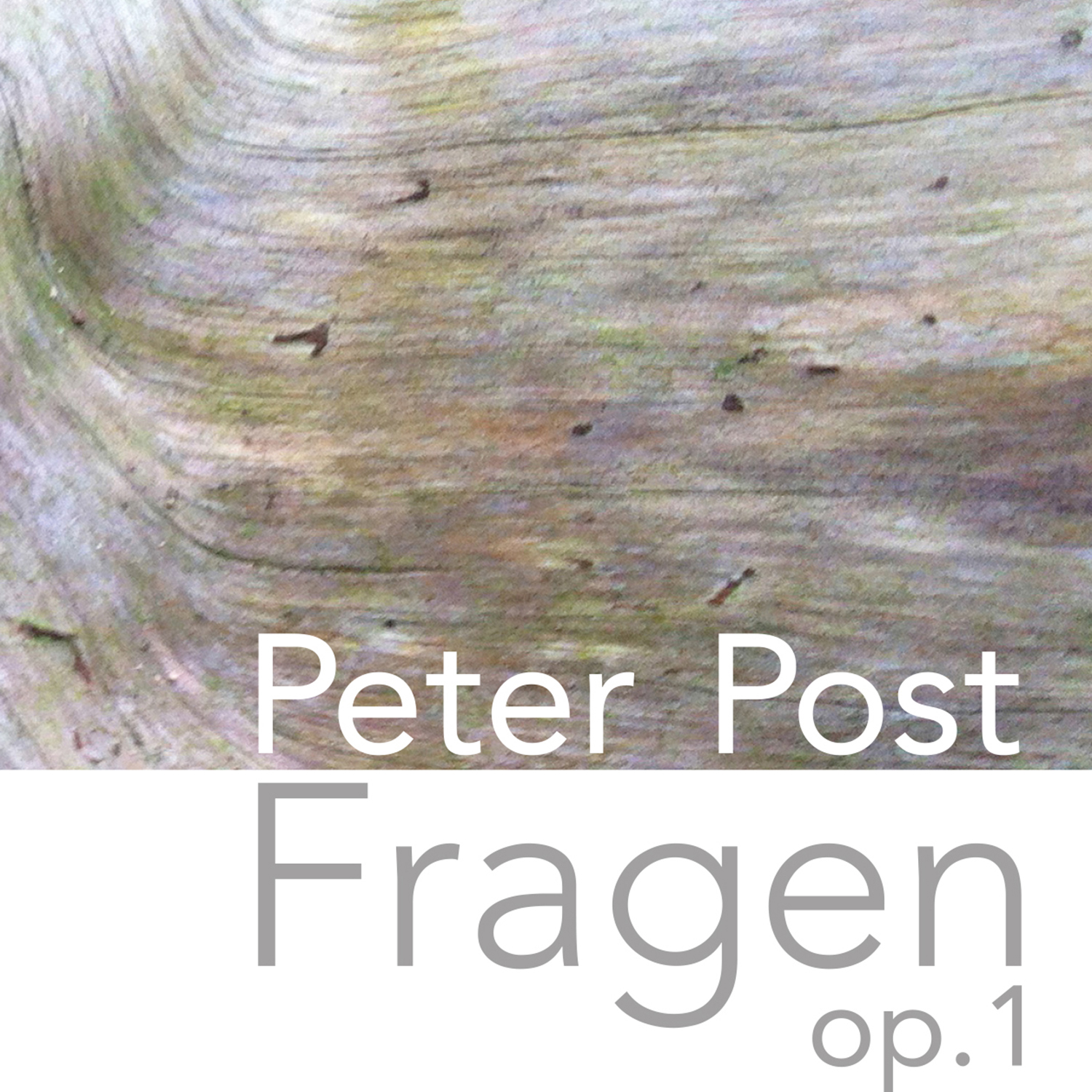 Peter Post: Suite für Bluesgruppe und Wahrsager op. 1 – Fragen